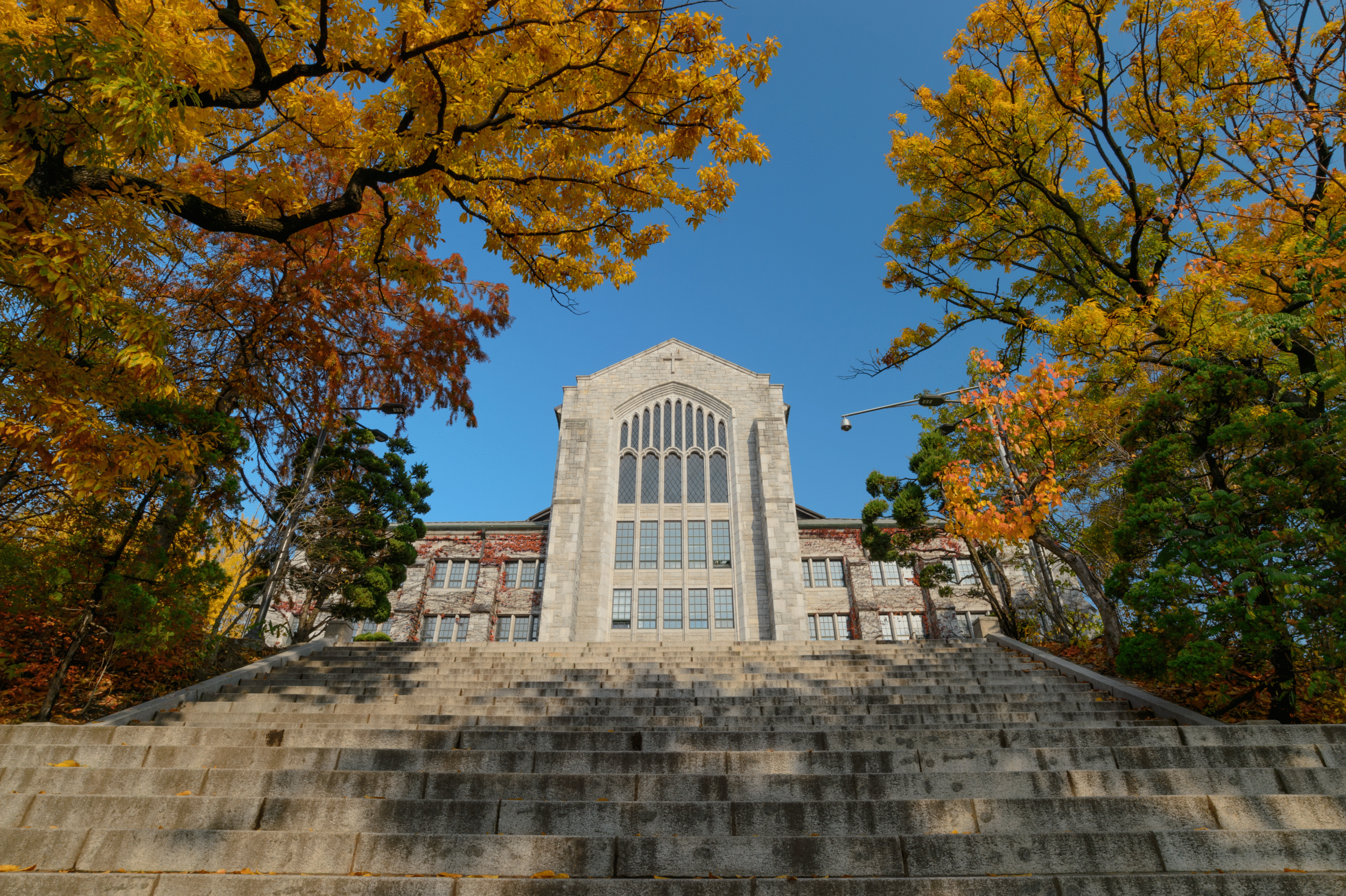 Trường Đại học nữ Ewha, Seoul - Trường Đại học nữ sinh TOP 1 Hàn Quốc